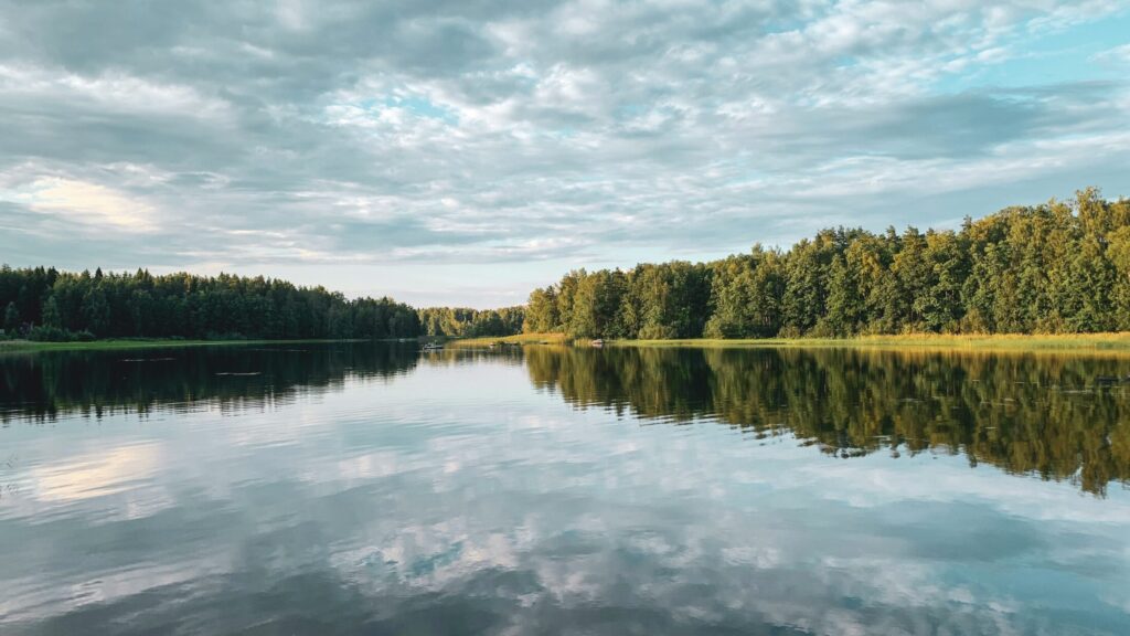 a photo of green trees beside a lake