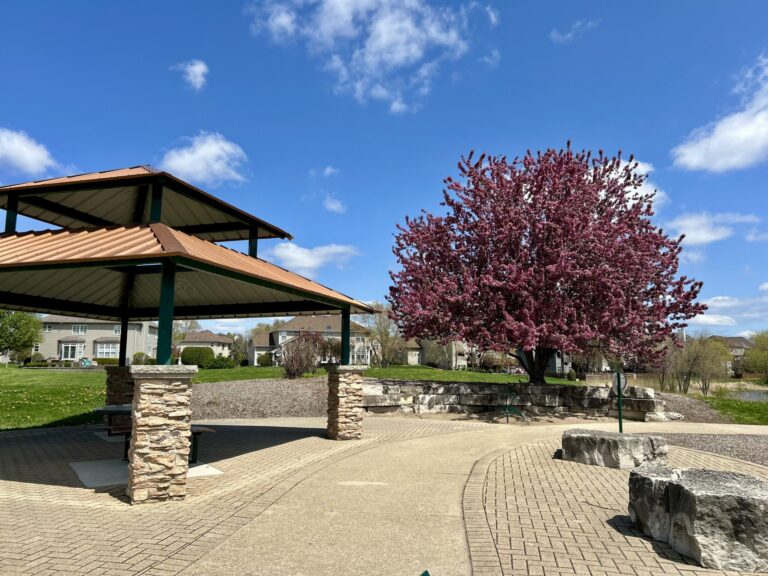 a gazebo with orage roof and a violet leaf tree nearby